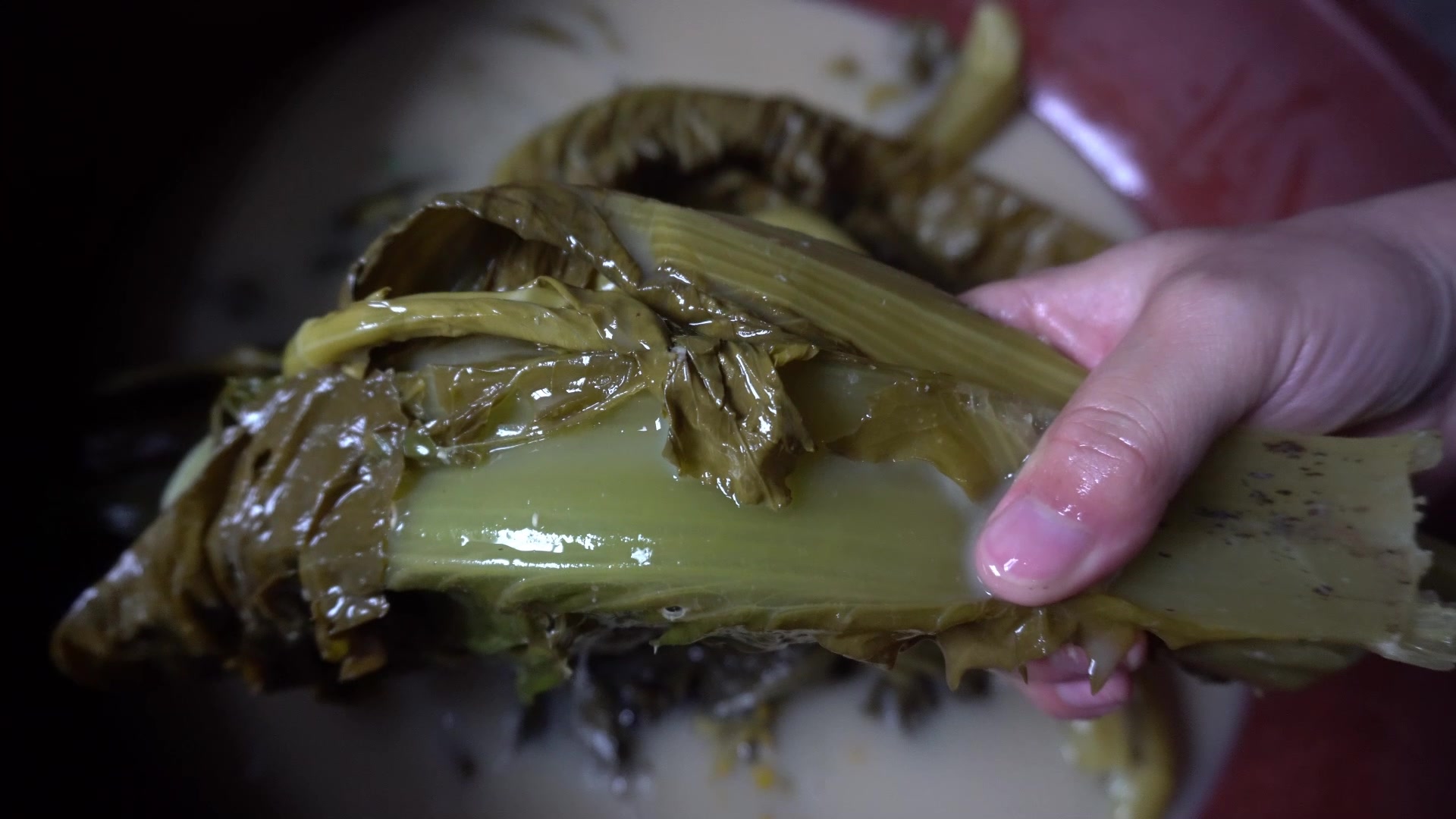 家乡特色菜,酒糟酸菜炒肉,酒香肉香