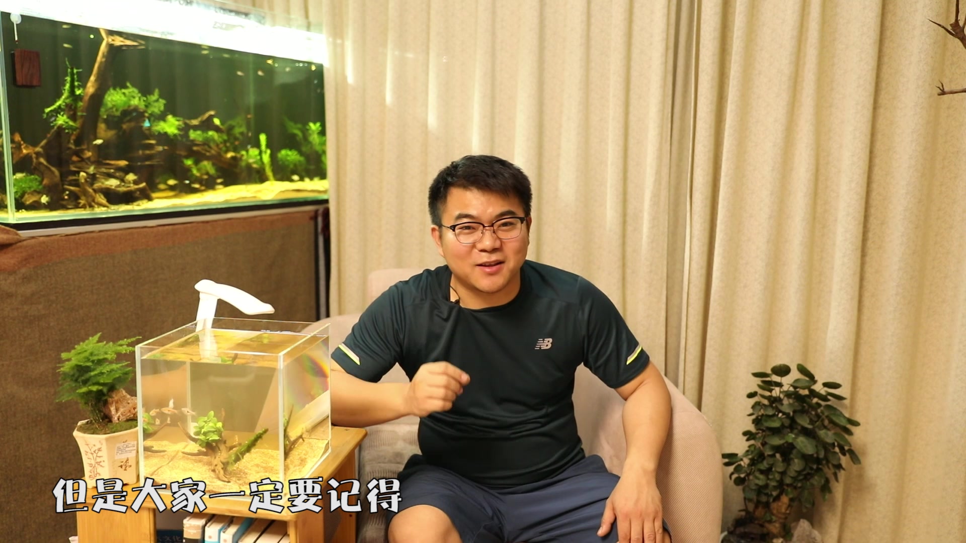 如果想在办公室或家里添设一个鱼缸,该如何选择适合的鱼呢?