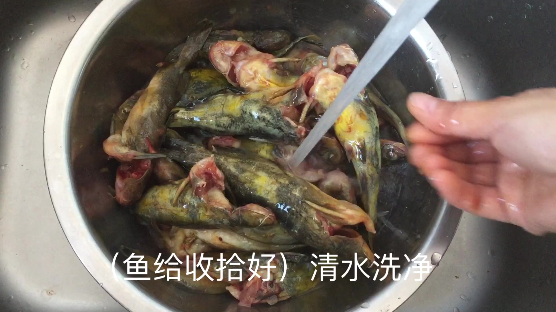 东北的特色鱼黄颡鱼,鱼肉特别鲜嫩,保证你爱吃