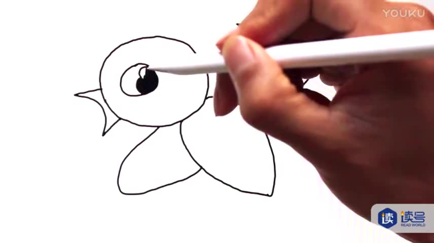 飞翔的小鸟-简单好看易学的早教简笔画,来跟我一起画吧