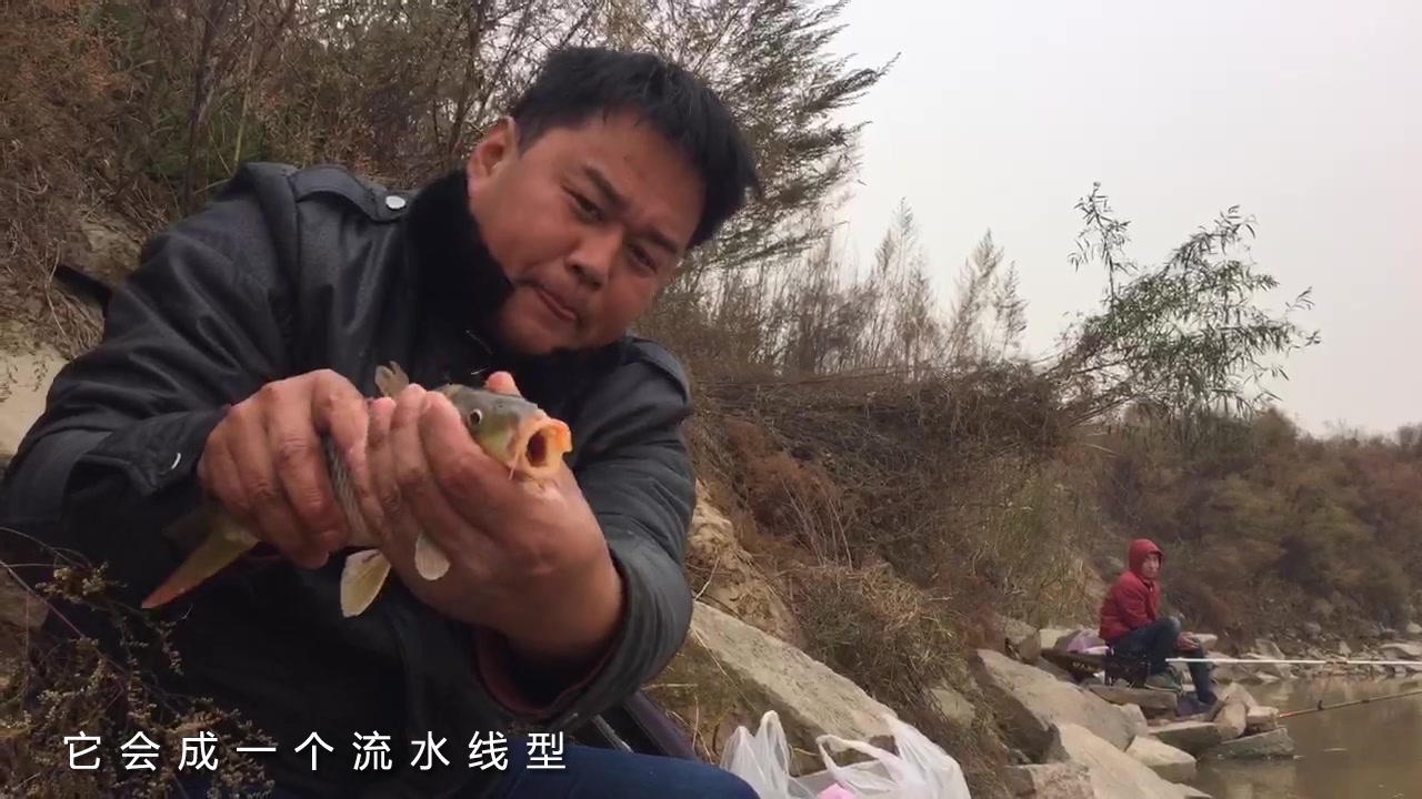 黄河纯野生大鲤鱼长什么样 拿着3年黄河野生鲤鱼 教你如何辨别