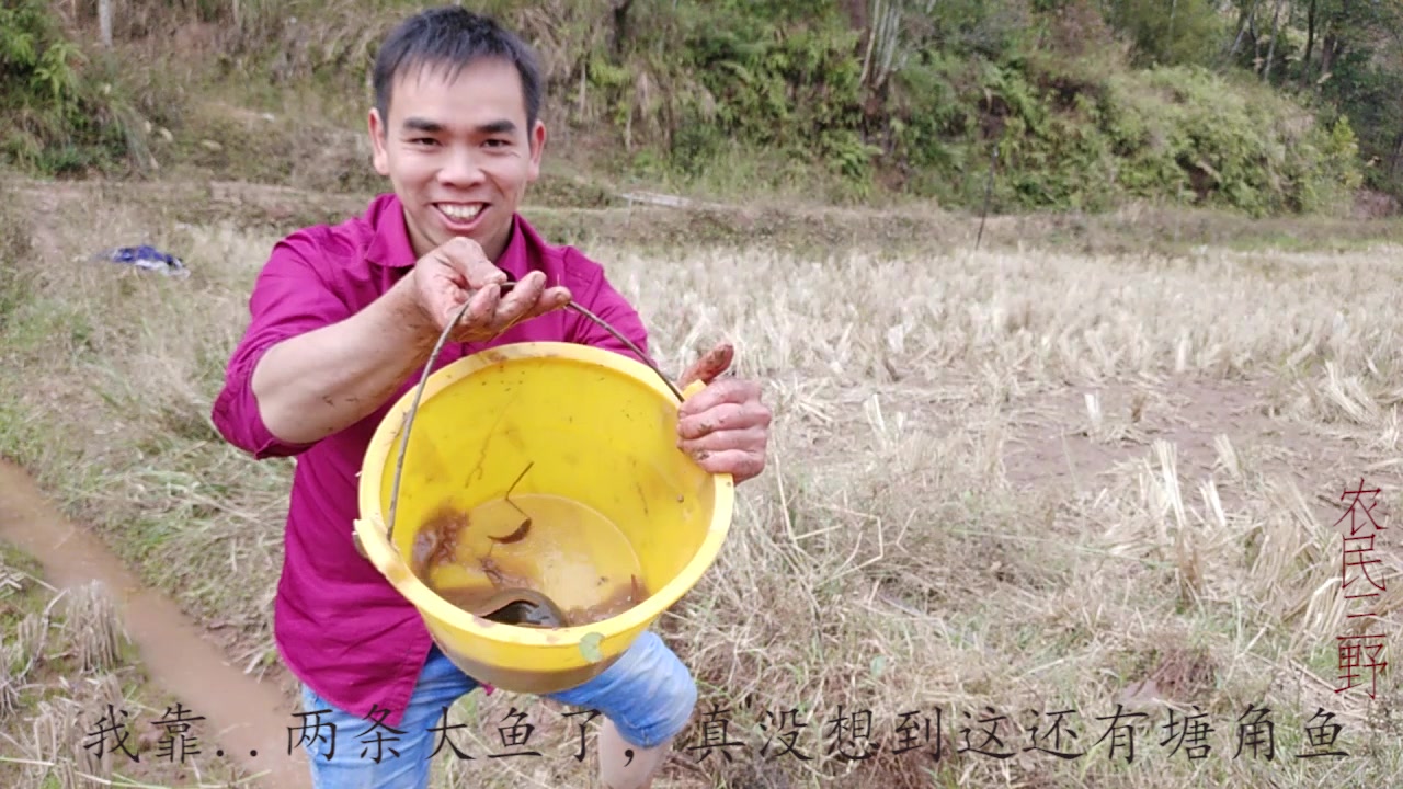 农村小伙在水沟抓鱼,意外收获了一个神秘礼物,猜猜是什么?