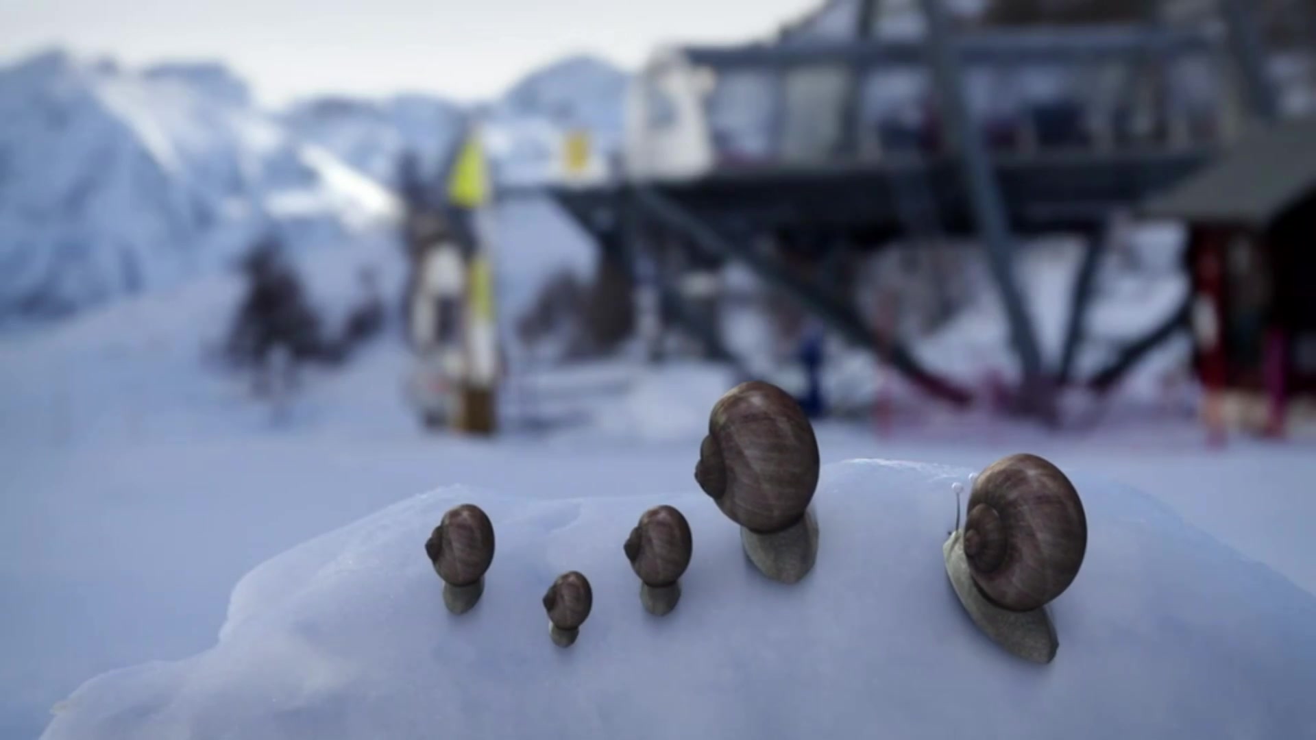 昆虫总动员:蜗牛不冬眠,登上雪山变身滑雪高手!
