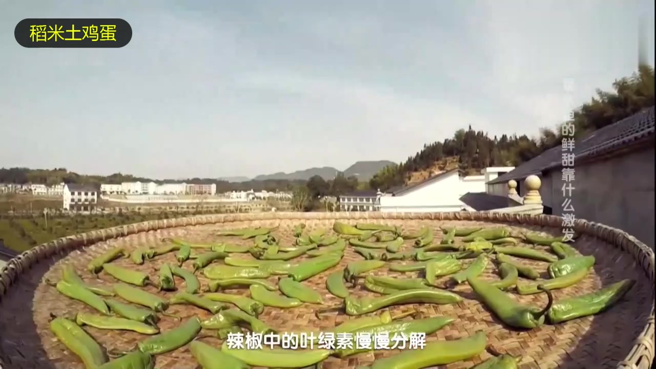 有辣有甜好口味,宁乡白辣椒泉水鱼!