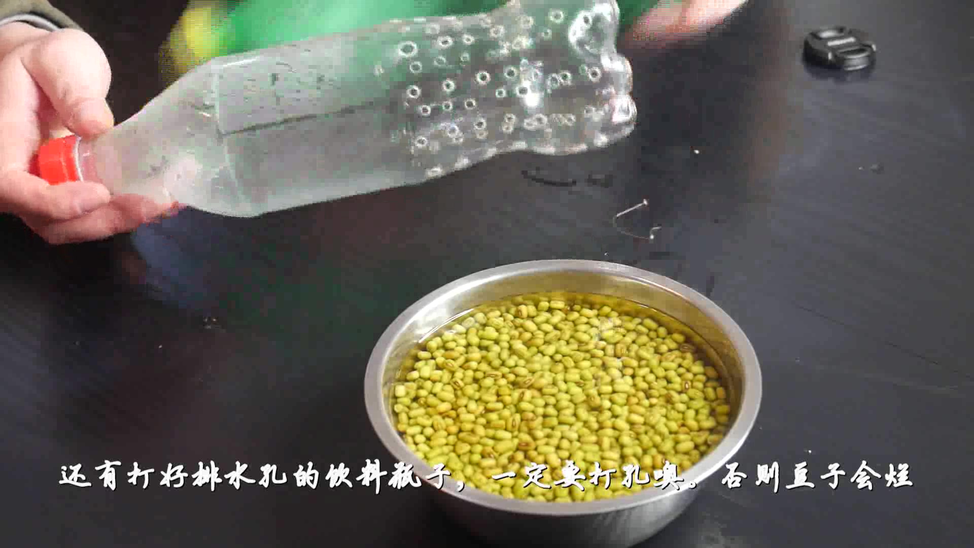 无根豆芽有毒?跟我学做自发豆芽吧,比菜市场卖的好吃!