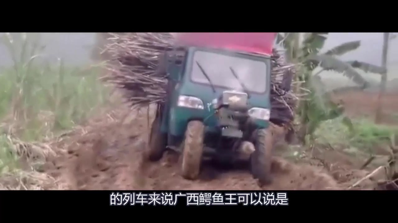 广西鳄鱼王拖拉机,直接秒杀路虎,仅3万农民阿姨笑晕了!