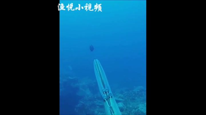 哪里有这么漂亮干净的海,等我赚够钱就去那边钓鱼射鱼