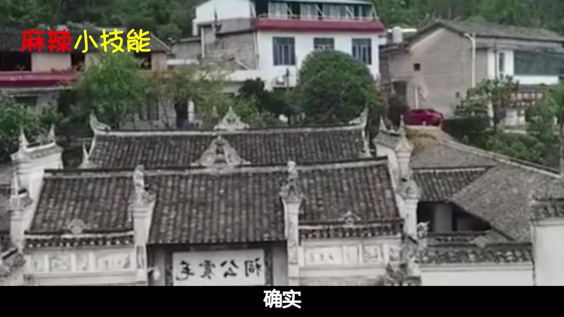 农民种这种紫色白菜发财了,一粒种子7毛钱,种出来比猪肉还贵!