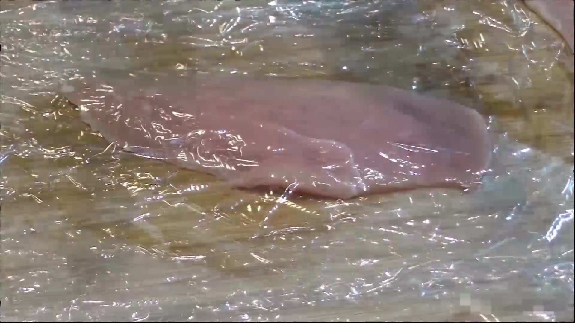 肯德基里的脆皮鸡排汉堡其实在家也能做,你能学会吗