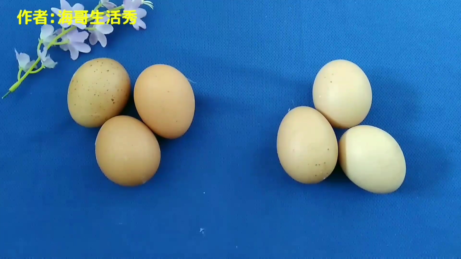 普通鸡蛋和笨鸡蛋怎样辨别呢,我来教给大家几个小方法辨别
