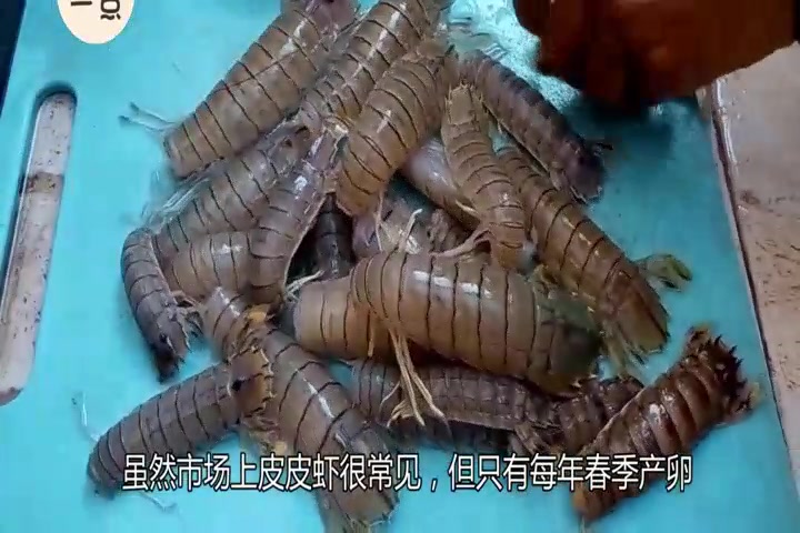 皮皮虾怎样辨别公母?教你一个小妙招,挑出来的又肥又嫩!