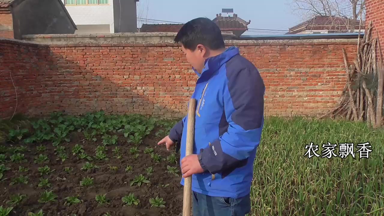 农村常见的农家小院,自带菜园,吃蔬菜不用买,这种生活你羡慕