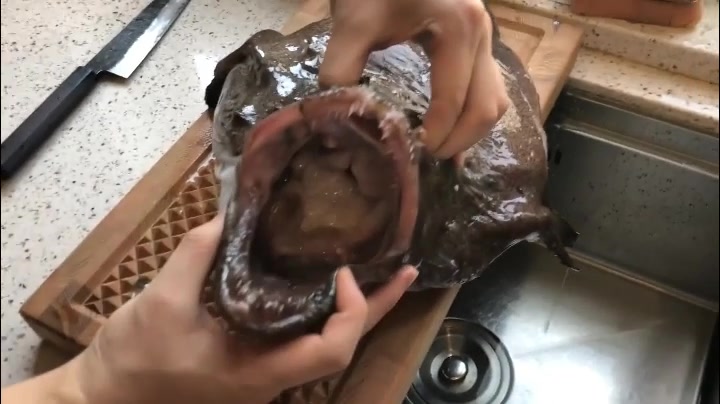 吊切鮟鱇,这么丑的鱼居然还很好吃!