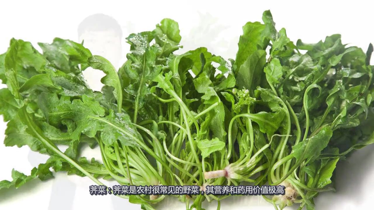 农村这几种野菜对少白头帮助大,还可保护肝脏达到解毒功效