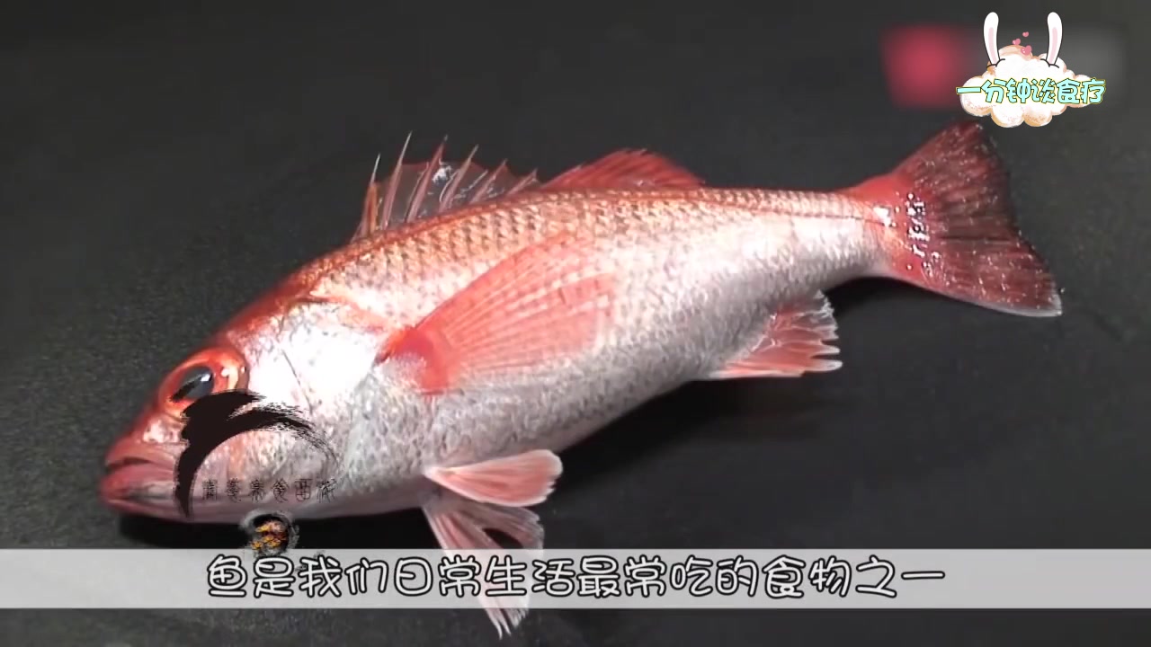 鱼身上这部位值一亿,竟被几亿人丢弃,尤其是第3种也许没人吃过