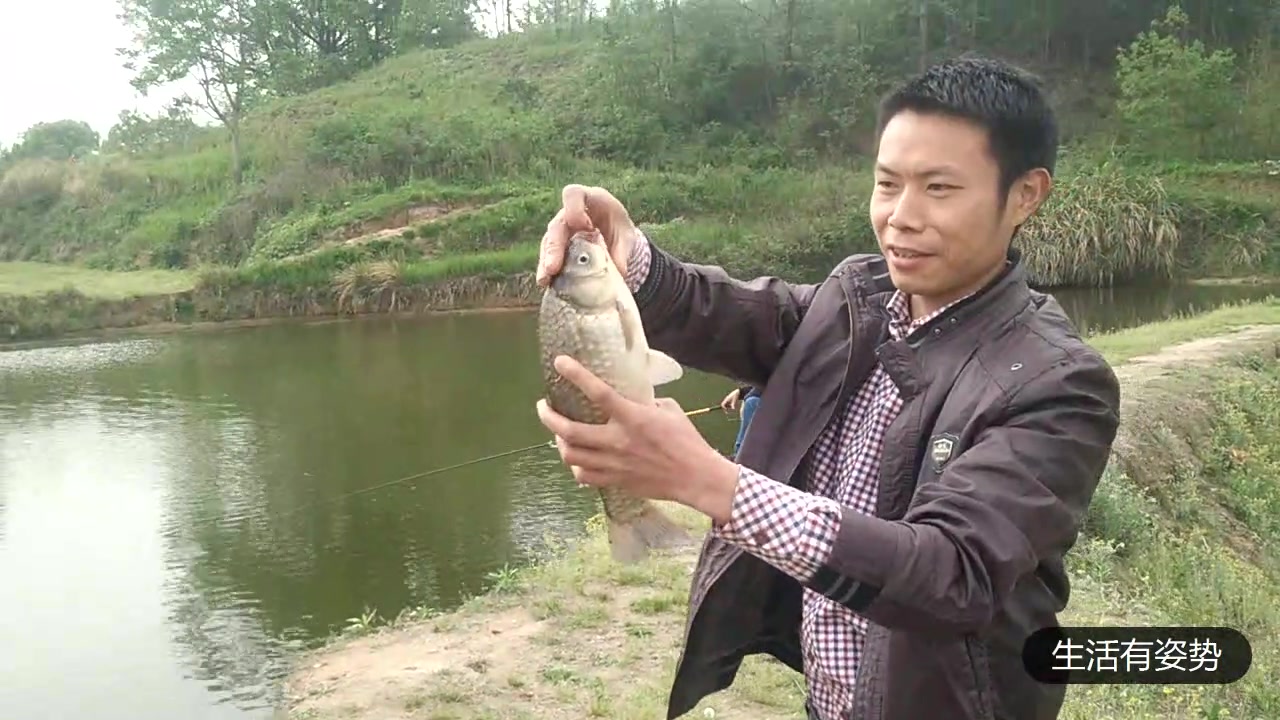 这条鲫鱼是我见过最大的鲫鱼,你们钓过最大的鲫鱼有多大?