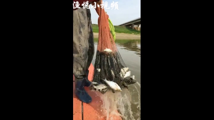 撒网捕鱼我是认真的,大爆网让你肾上腺 飙升