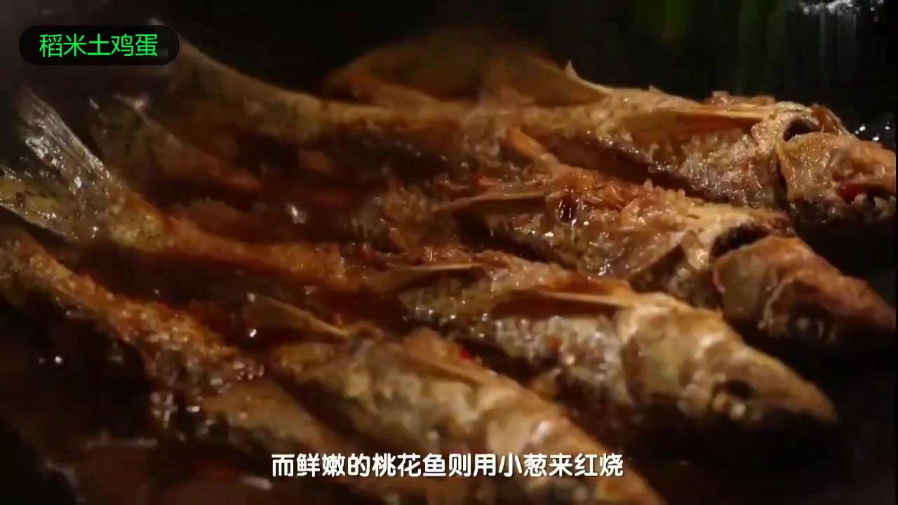 味道丽水:瓯江河鲜宴!
