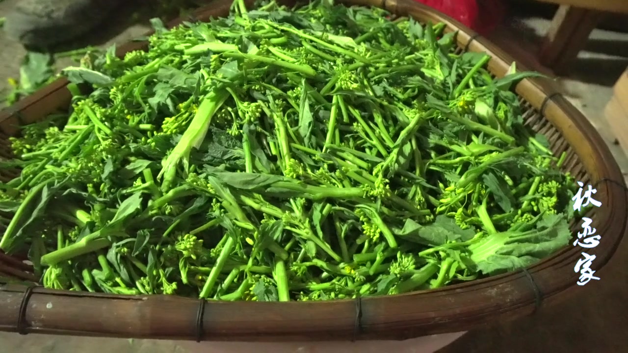 苦菜花不要扔了,云南这样做成冲菜,味道独特可口