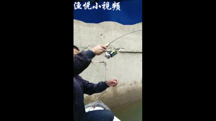 泥鳅党钓鱼,上了一尾大鲤鱼,翘嘴鱼鳜鱼被你们钓完了