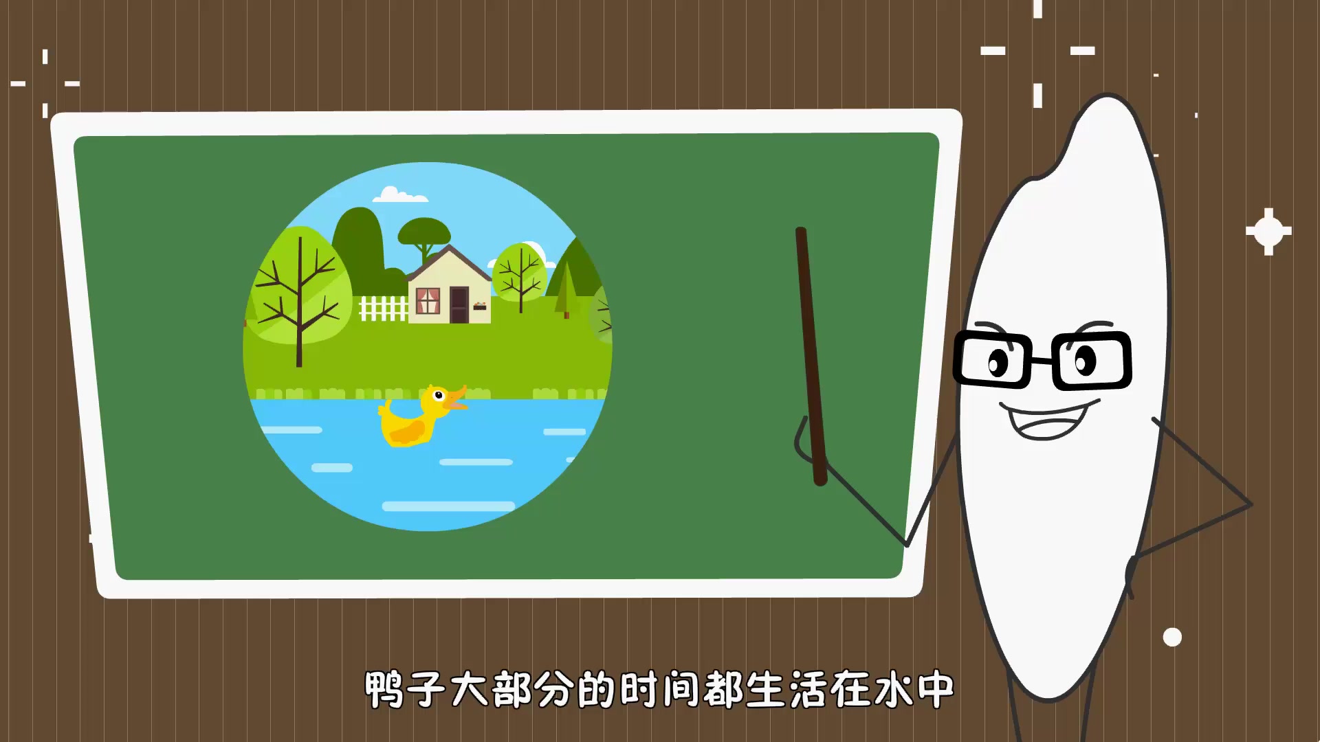 鸭子走路为什么一摇一摆?「米粒计划亲子百科系列第14集」