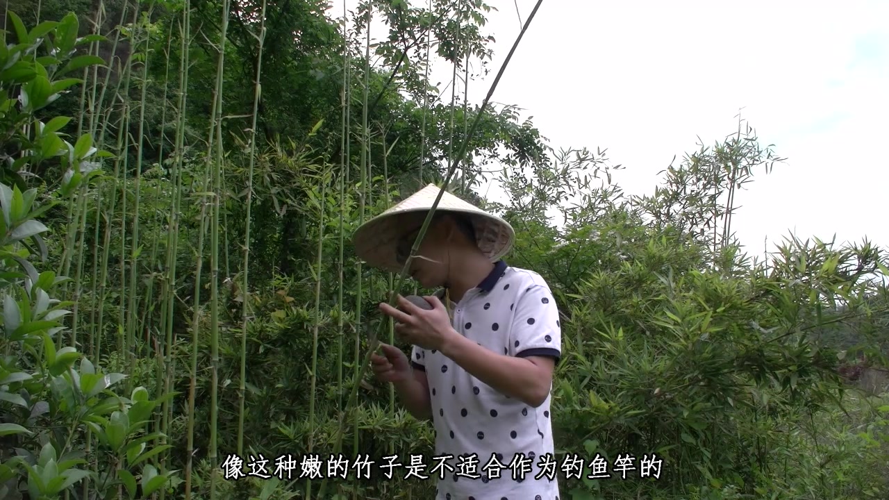 农村小伙就地取材,妙取细竹当鱼竿,回归老式钓法