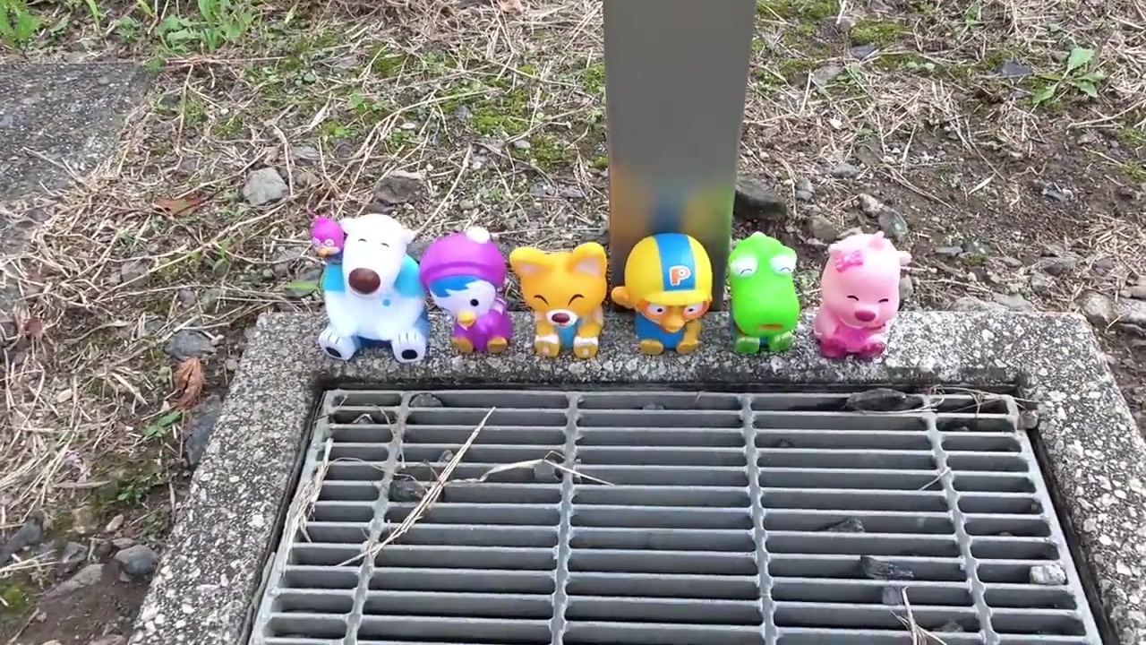 小企鹅嘴里会喷出水来 太神奇啦