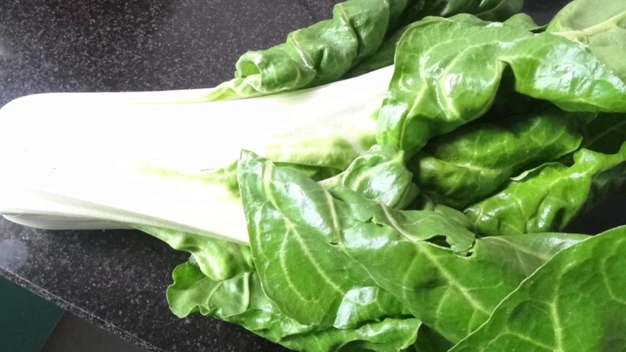 农村有种很难吃的菜,农民用它喂猪,却不知它是上等补钙菜!