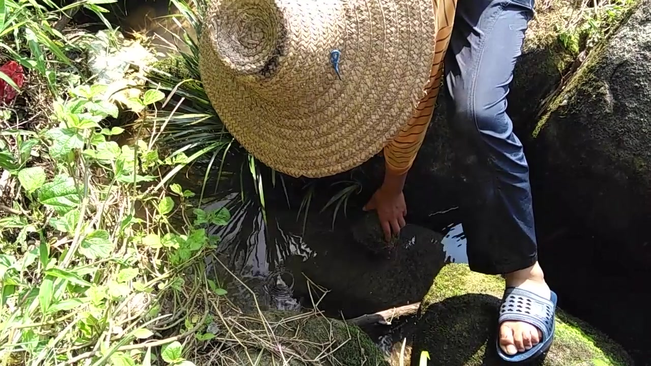 农村小孩的周末,自制装鱼工具小溪装野鱼,你小时候也这样玩过吗
