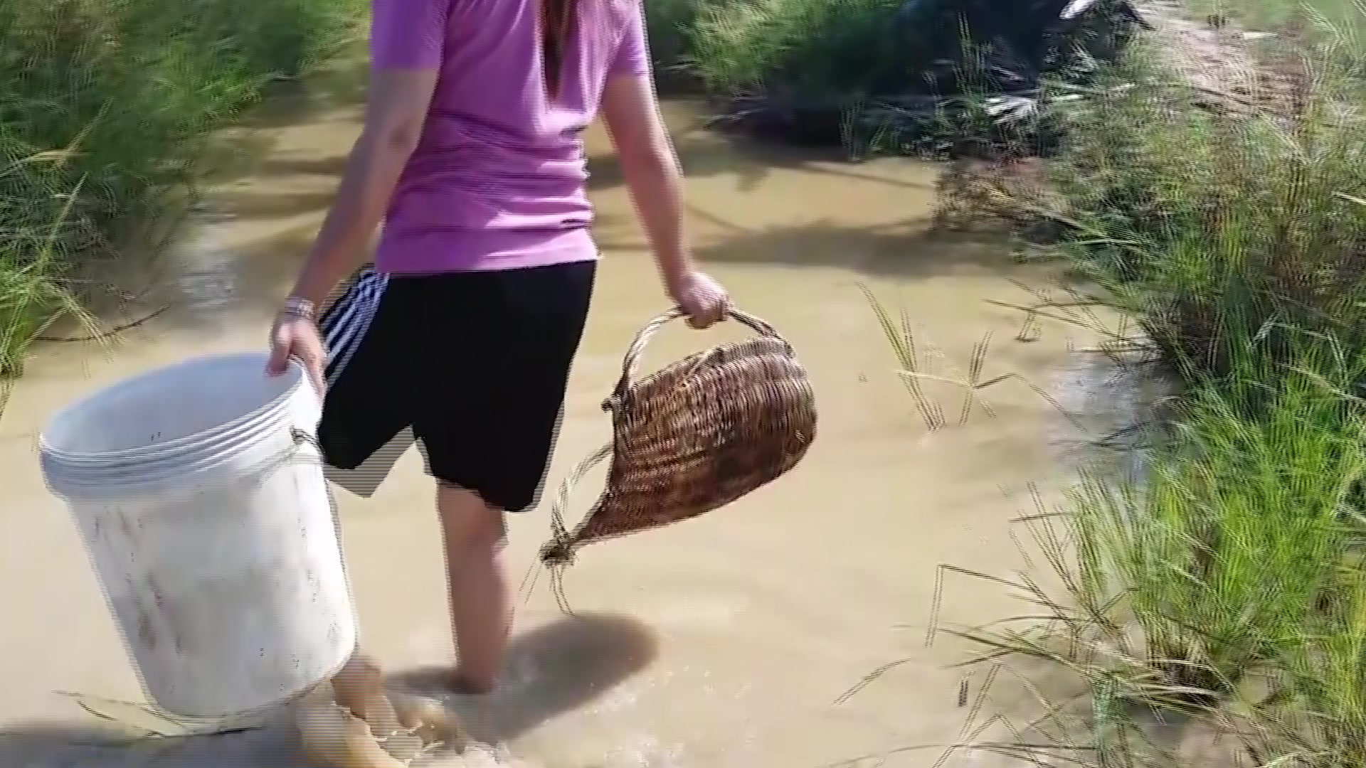 去缅甸的乡村,会发现当地的美女喜欢在河里抓鱼,用的方法很原始