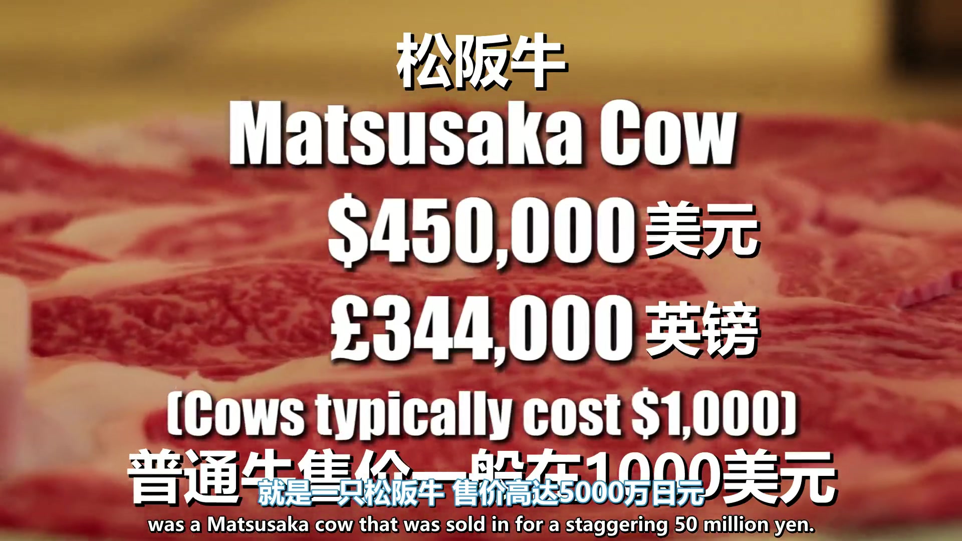 秒杀神户牛肉日本最贵的牛肉,一只牛能够卖5000万日元