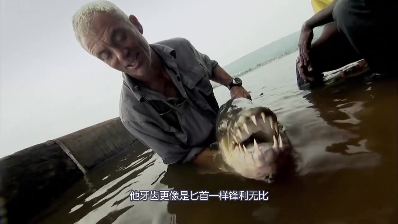 盘点世界上最“恐怖”的五种鱼,第一专吃食人鱼,看完你不会相信