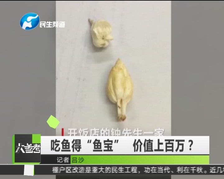 吃鱼得“鱼宝”价值上百万?