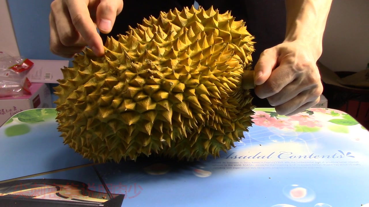 挑选榴莲有窍门,记住这些地方,以后不用愁,一挑一个准