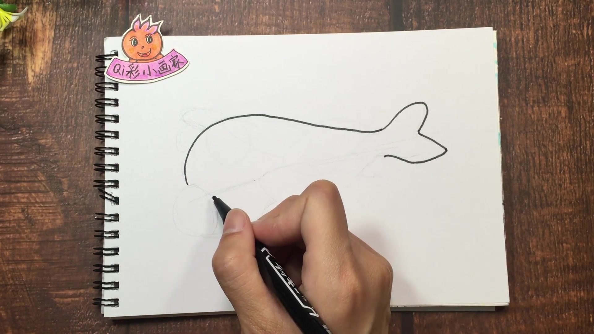 简笔画玩具飞机是这样画的,这样的飞机你见过吗?