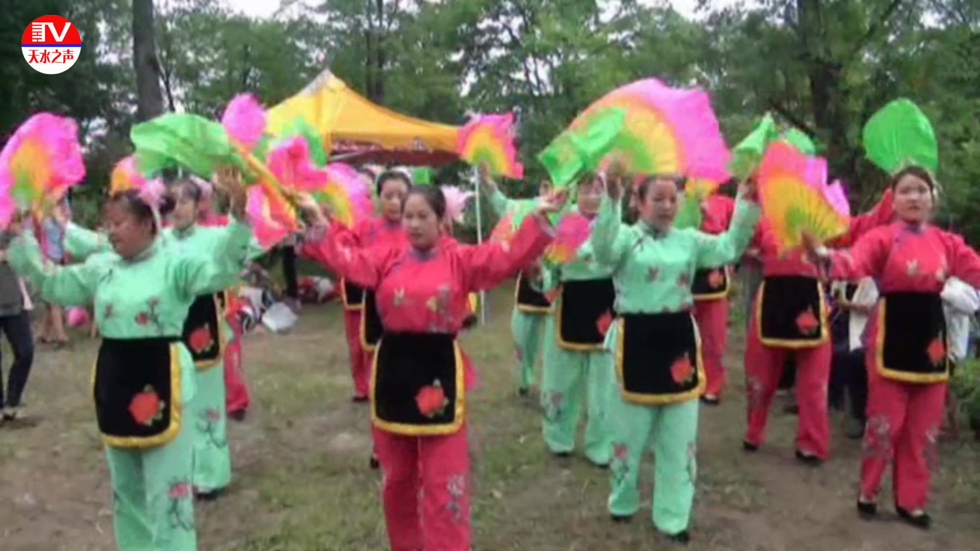 天水白音村媳妇们,自编自演社火小曲《割韭菜》真好听