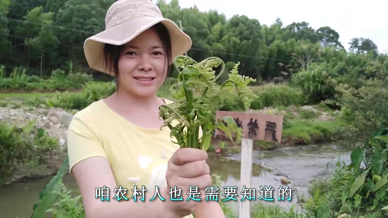 农村人都喜欢吃的蕨菜,这“4个不吃”也是要知道的