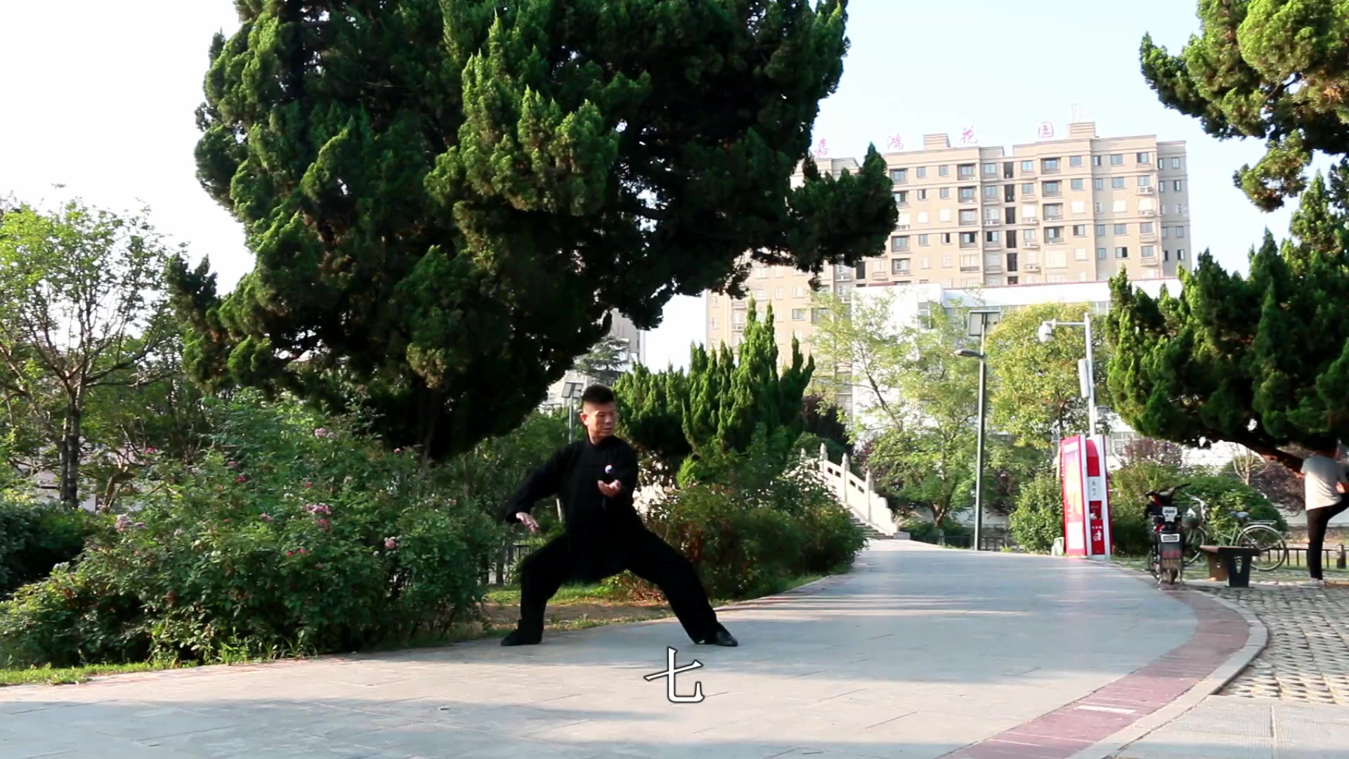 太极拳:左右金鸡独立,纵身直上手擎天,一手下垂似碧莲