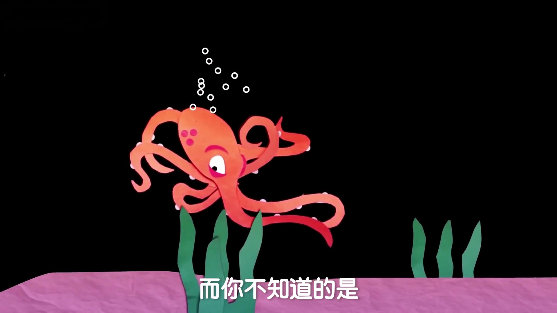 原来章鱼们是这样生孩子,看着太可怕!