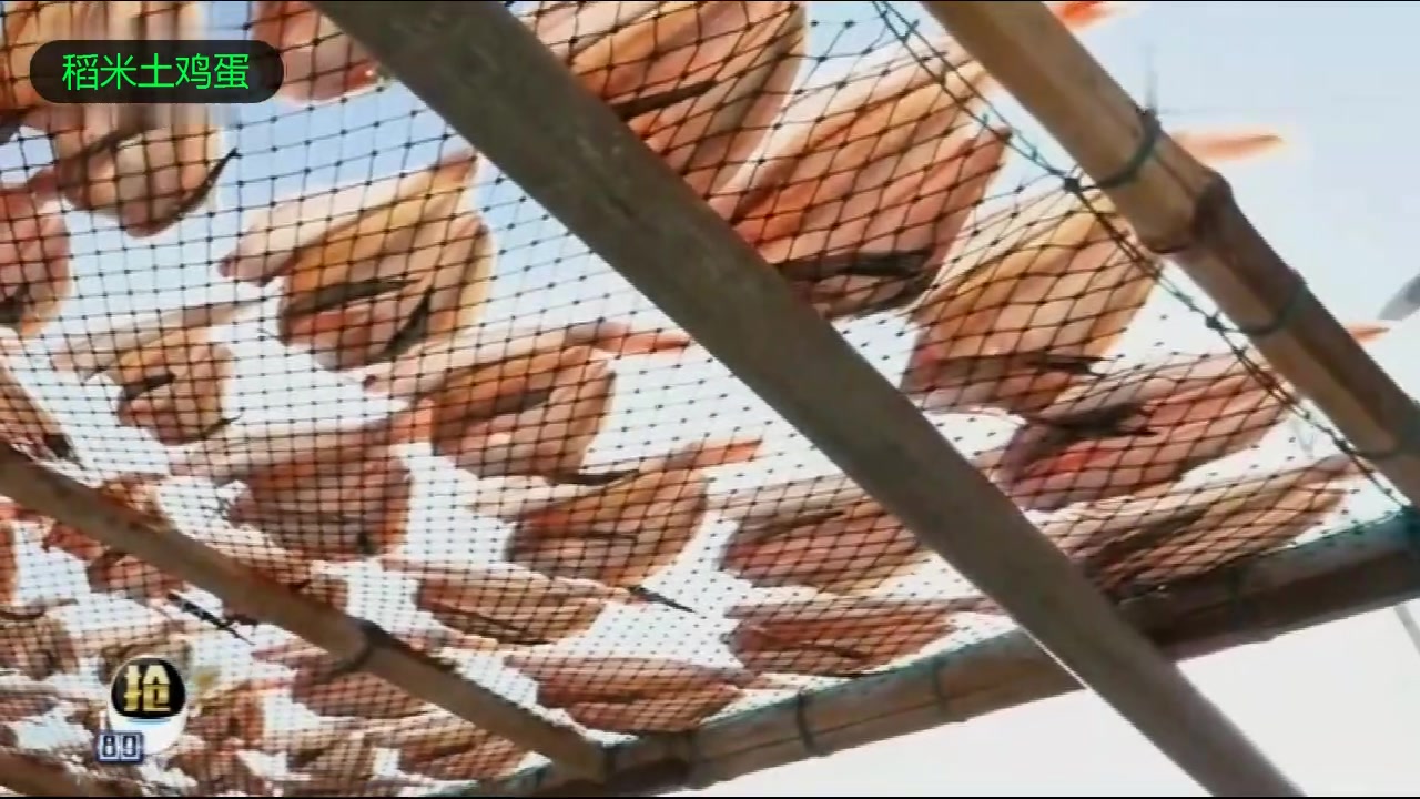 忘不了的家乡味:浙江坎门敲鱼面!