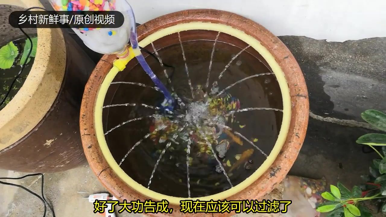 农村小伙用创意的方法在古缸里养金鱼,既能过滤又能增加氧气!