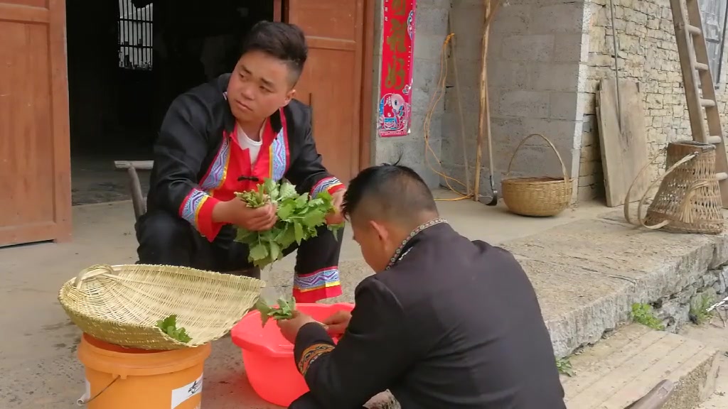 鸭儿芹你吃过吗?