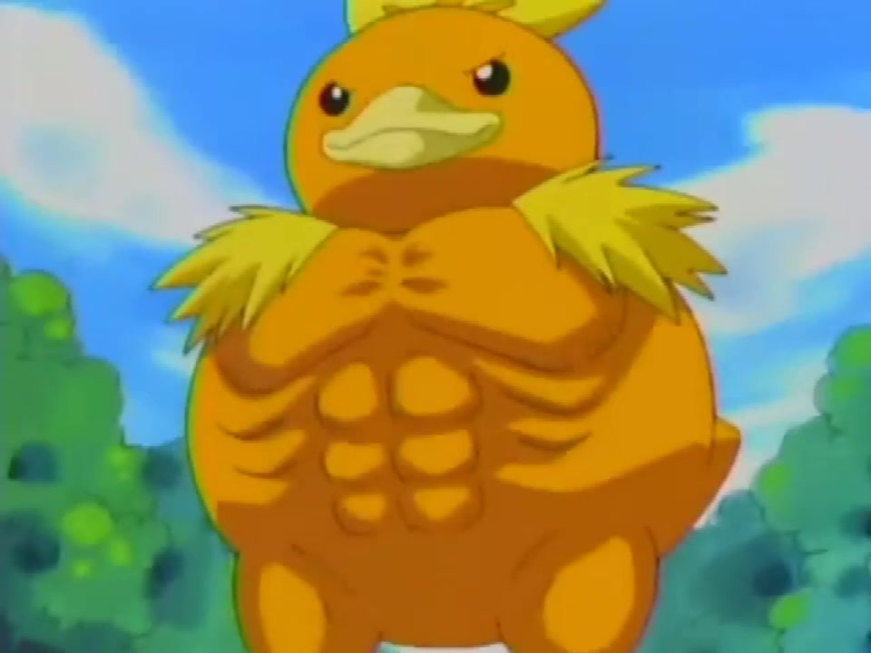 神奇宝贝,小瑶想象自己的小火鸡进化后的样子