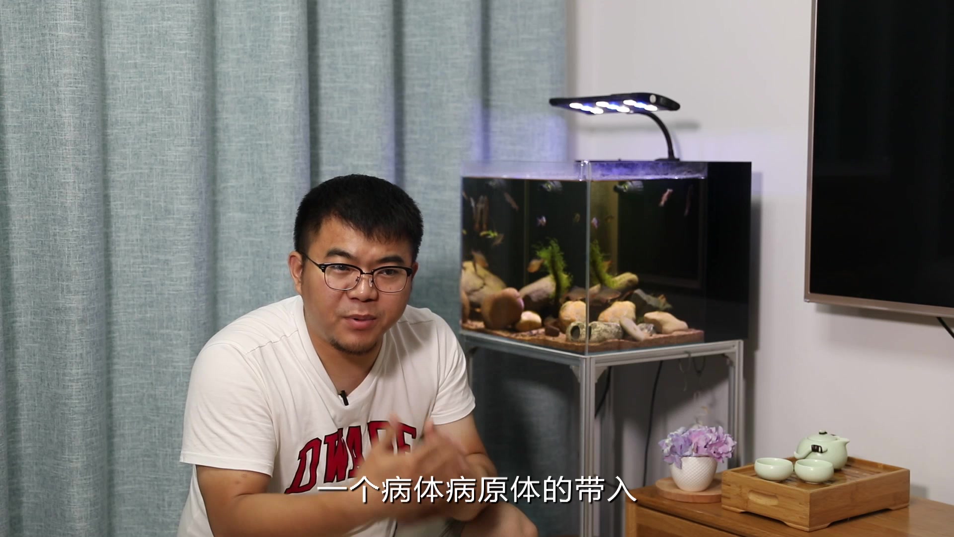 腿哥说鱼--观赏鱼的白点病如何防治你了解吗?