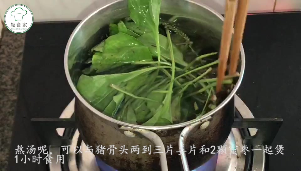 家庭必备菜谱,农村遍地的车前草认识吗?夏天煲汤的好材料