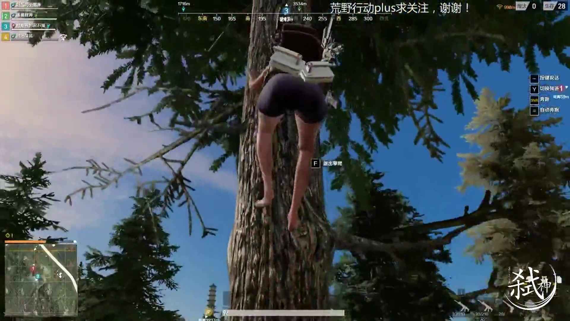 荒野行动plus:端游吃鸡除了可以开直升机,还可以爬上树隐蔽!