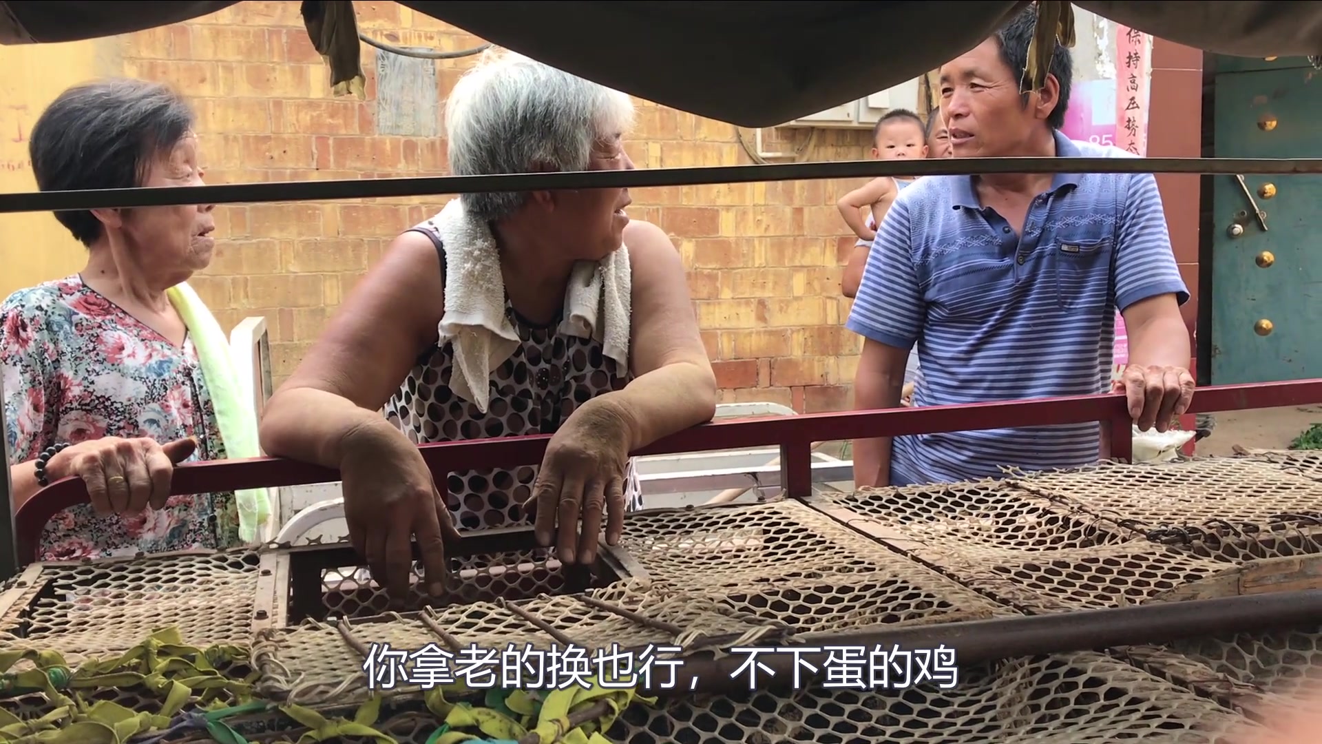 农村80多岁的老太大,用一只老母鸡换了几只小鸡,你感觉划算吗?