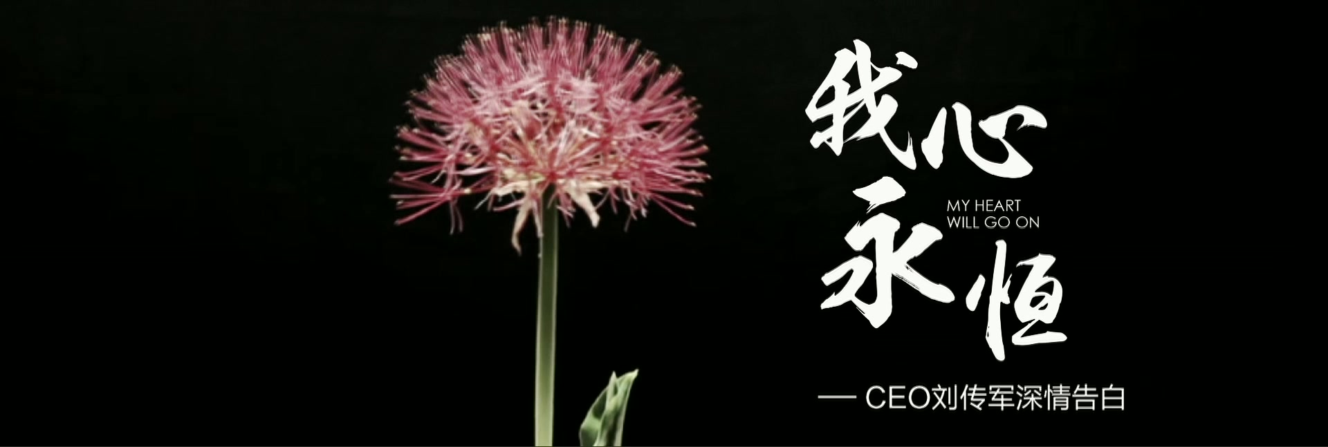 美菜网4周年刘传军深情告白——我心永恒