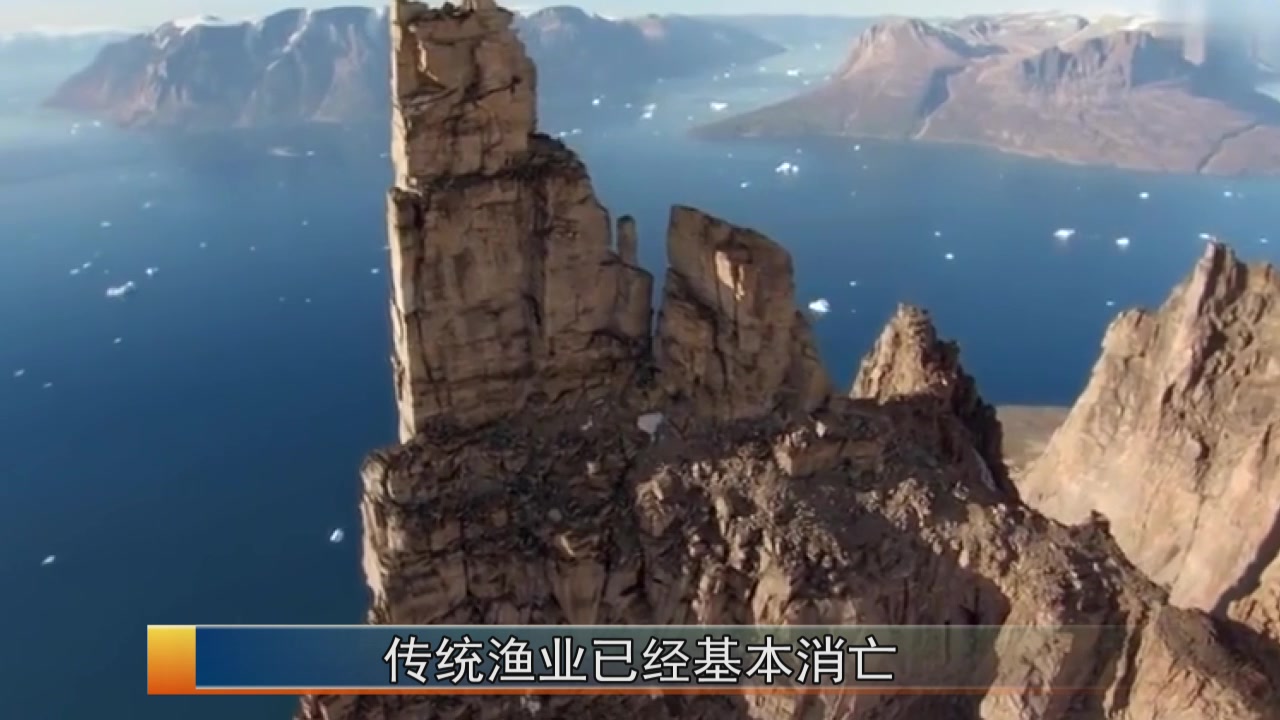 鲸是海洋里的霸王,全国已颁布禁止捕杀鲸鱼!唯独日本充耳不闻